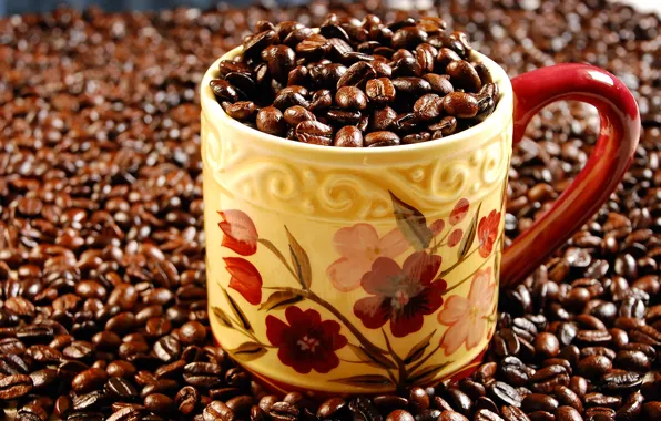 Picture macro, coffee, grain, mug, fried