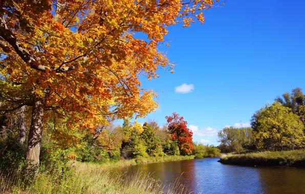 Autumn, trees, river, Canada, Ontario, district MISSISSAUGA