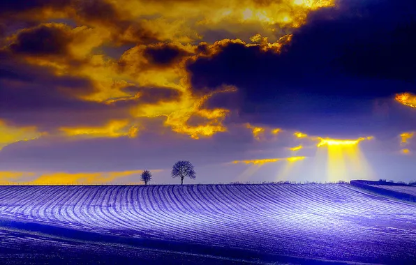 Field, rays, clouds, nature, tree, paint, glow
