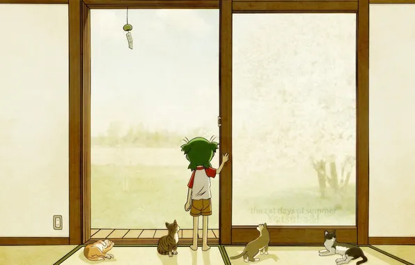 Picture cats, child, the door, girl, Yotsubato, the cat days of summer