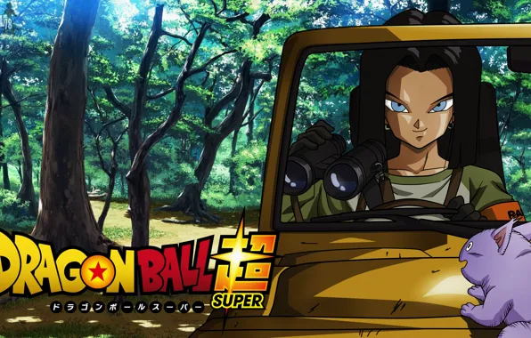 Car, game, alien, anime, martial artist, manga, Dragon Ball, strong