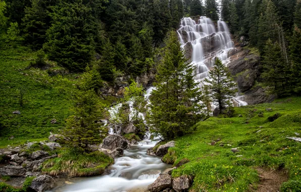 Picture forest, trees, stones, rocks, France, waterfall, Brochaux Waterfall