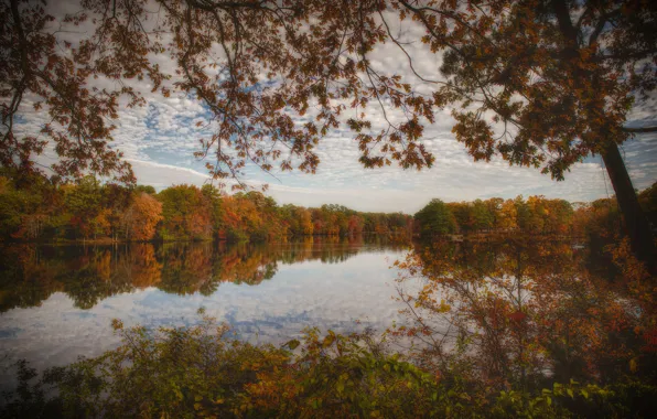 Autumn, nature, lake, Maryland
