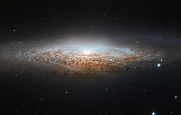 Picture stars, galaxy, NGC 2683