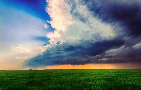 Field, summer, the sky, clouds, clouds