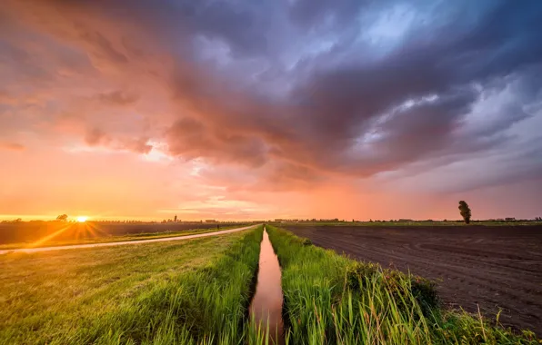 Picture field, light, nature