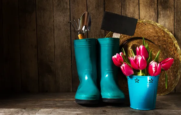 Flowers, Tulips, Bouquet, Samohi