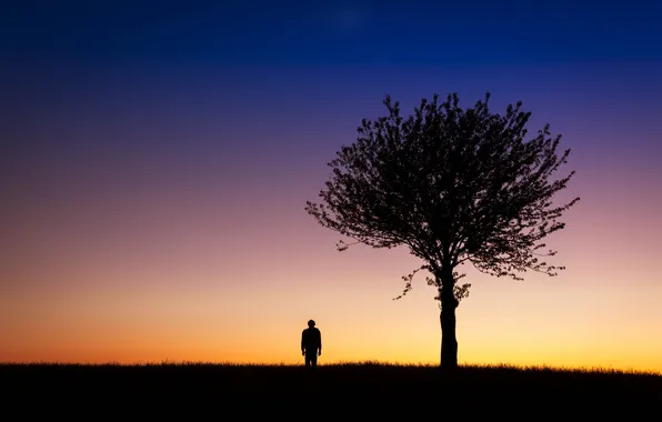 Field, tree, silhouette, male, twilight