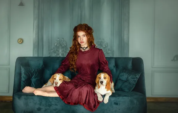 Girl, model, pretty, dogs, interior, sofa, interesting