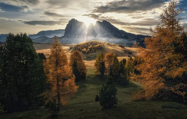Autumn, forest, the sun, clouds, rays, mountains, hills, view