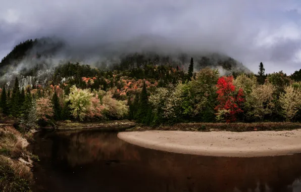 Forest, trees, fog, river, Canada, Quebec