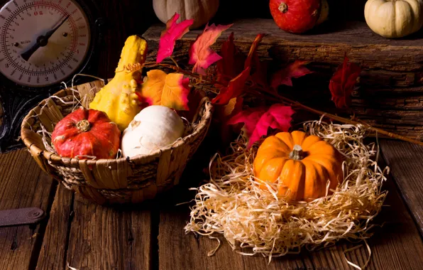 Picture leaves, basket, pumpkin, straw, the gifts of autumn