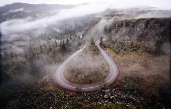 Road, forest, trees, mountains, nature, fog, Oregon
