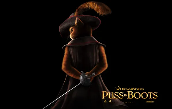 Cat, Antonio Banderas, Puss in Boots, Cartoon