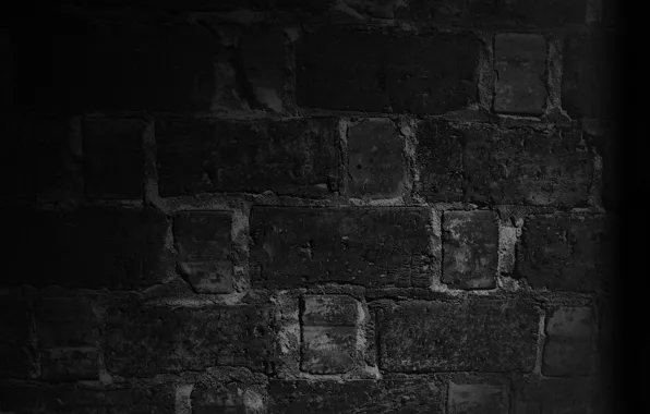 Picture macro, night, wall, black, bricks