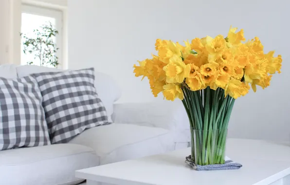 Picture flowers, house, daffodils yellow