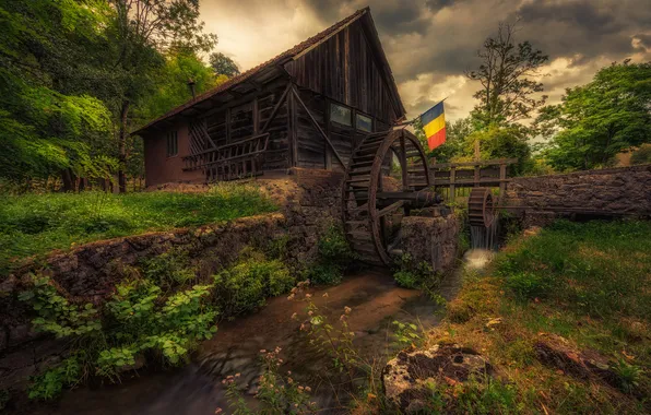 Trees, clouds, shore, wheel, flag, water mill, pond