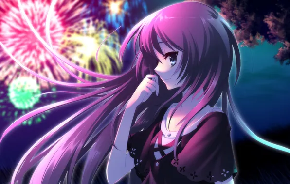 Picture girl, night, fireworks, Anime