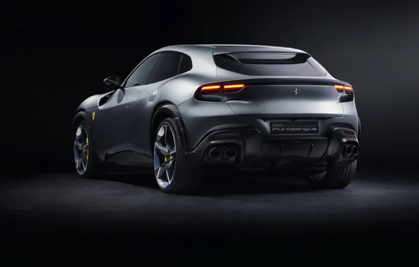Ferrari, SUV, Rear, Black background, 2022, Ferrari Thoroughbred, Purosangue