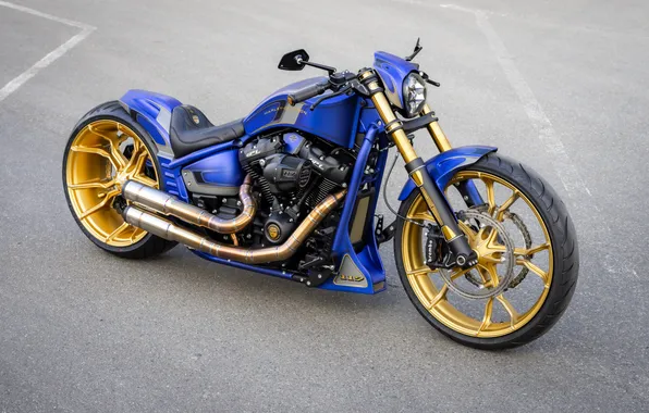 Picture Front, Harley-Davidson, Tuning, Softail, Breakout, Customized, Thunderbike, Custombikes