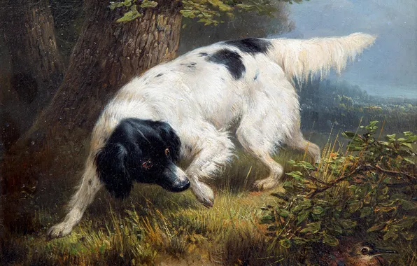 Dog, Grass, Bird, Bush, Picture, Henrietta Ronner-Knipe, Henriette Ronner-Knip, The Belgian artist