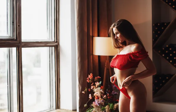 Ass, model, women, window, brunette, lamp, hips, red panties