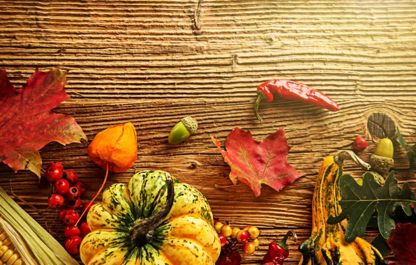 Picture autumn, leaves, berries, tree, corn, harvest, pumpkin, pepper
