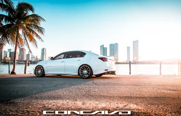 Machine, auto, Palma, Lexus, auto, F-Sport, Wheels, Concave