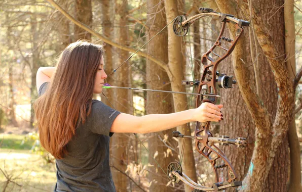 Picture forest, woman, archery, compound bow