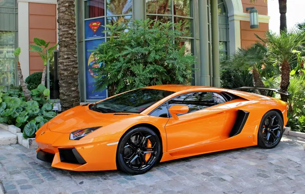 Picture Lamborghini, LP700-4, Aventador, by DMC