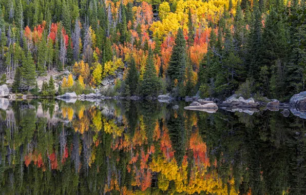 Autumn, forest, mountains, lake, reflection, stones, shore, ate