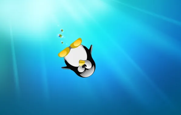Picture penguin, linux, wallpapers
