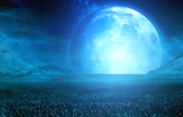 Picture field, the sky, night, mood, the moon