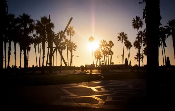 Picture summer, california, sunset, los angeles, palm, venice beach