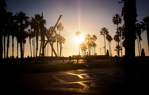 Summer, california, sunset, los angeles, palm, venice beach