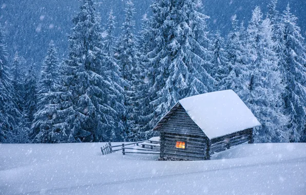 Winter, snow, tree, house, hut, landscape, winter, snow