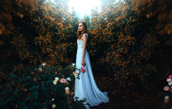 Girl, style, mood, roses, dress, Diadema, the bushes