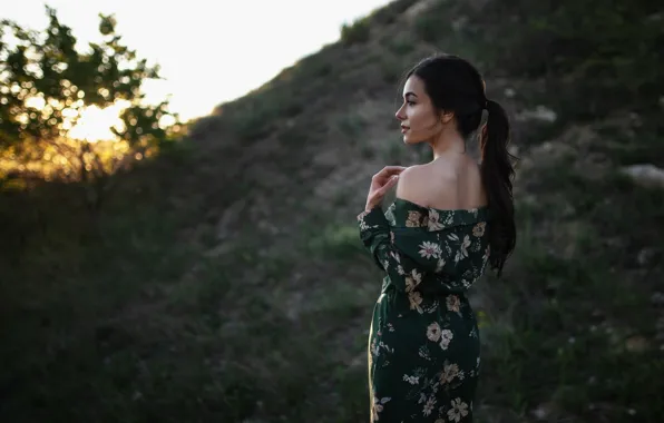 Picture shoulders, hands, hills, pose, ponytail, nature, face, dress