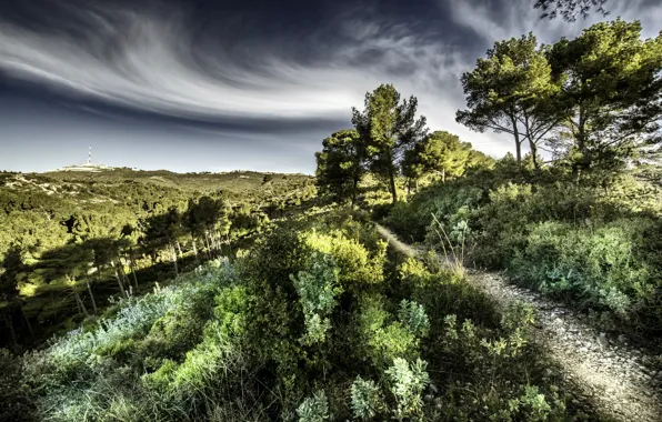 Summer, mountains, nature