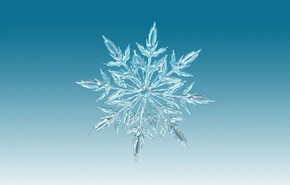 Ice, winter, pattern, snowflake, symmetry