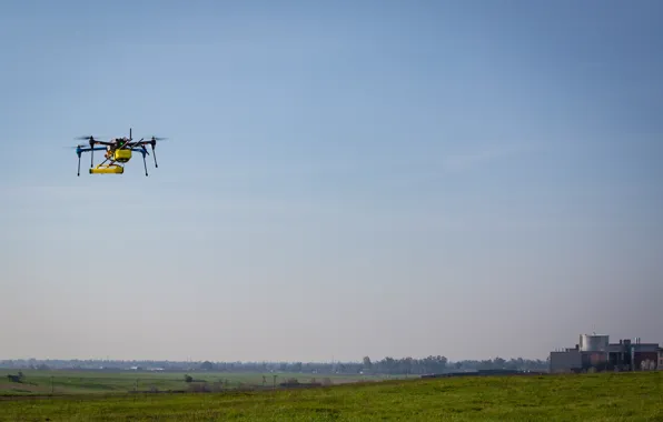 Camera, drone, quadcopter, citizen scientists monitoring