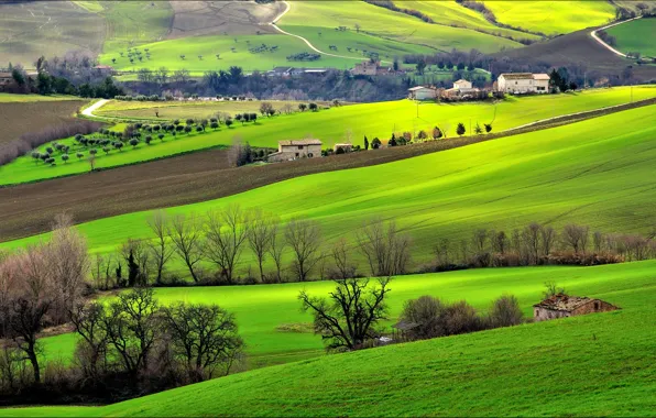 Grass, trees, house, hills, field, Italy, Campagna