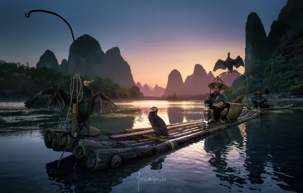 Birds, river, people, boat, boats, China, fishermen, the raft