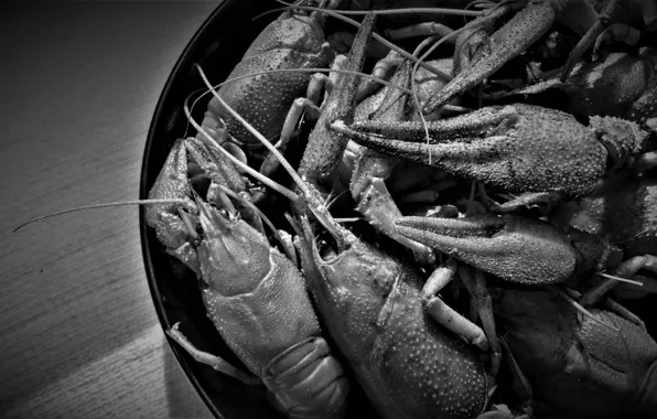 Picture macro, black and white, claws, cancers, tarika