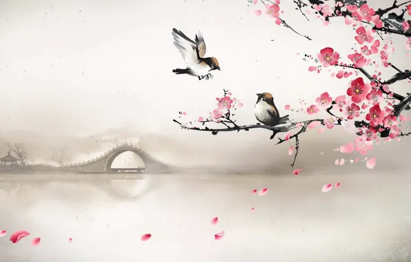 Bridge, fog, river, spring, morning, Sakura, art, birds