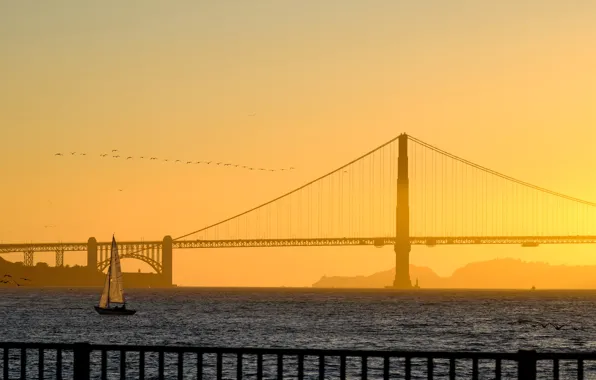 Picture bridge, boat, sail, San Francisco, Golden Gate, USA
