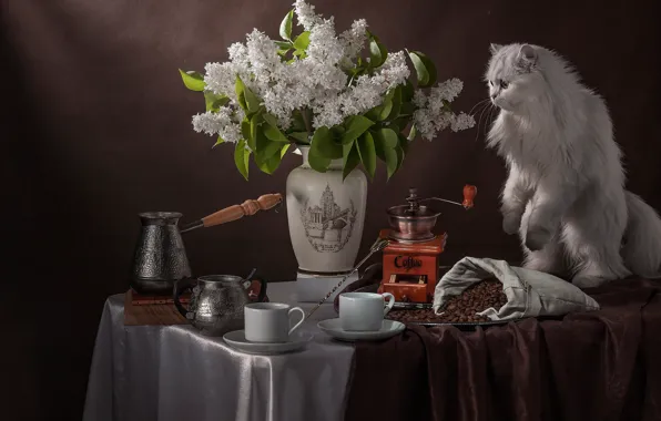 Picture cat, bouquet, Cup, vase, still life, coffee beans, lilac, fluffy