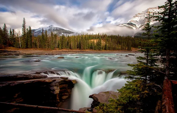 Forest, trees, mountains, river, waterfall, ate, Canada, Albert