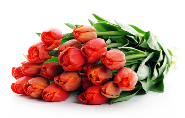 Picture flowers, bouquet, tulips