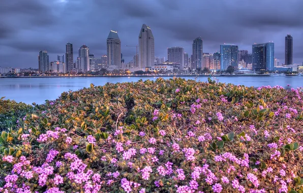 Picture sea, landscape, flowers, home, the evening, USA, san diego
